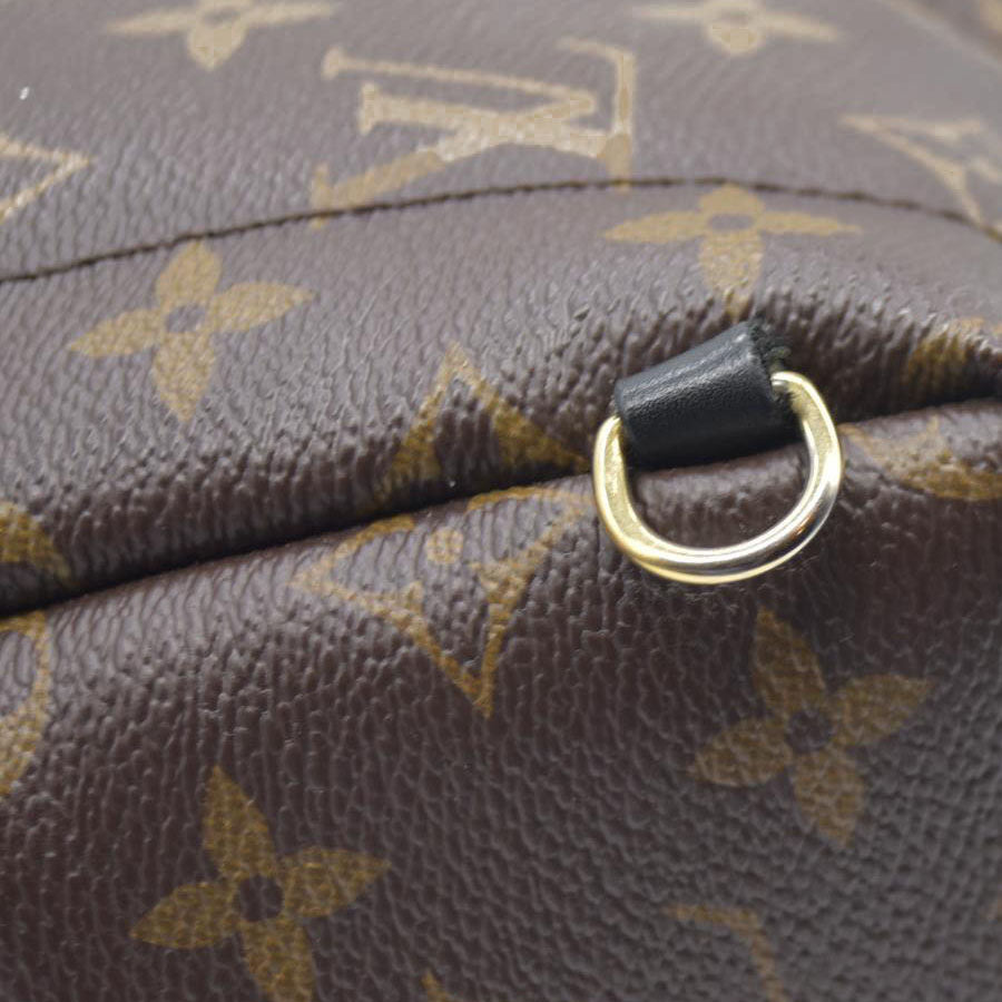 Louis Vuitton  Monogram Palm Springs Backpack Mini
