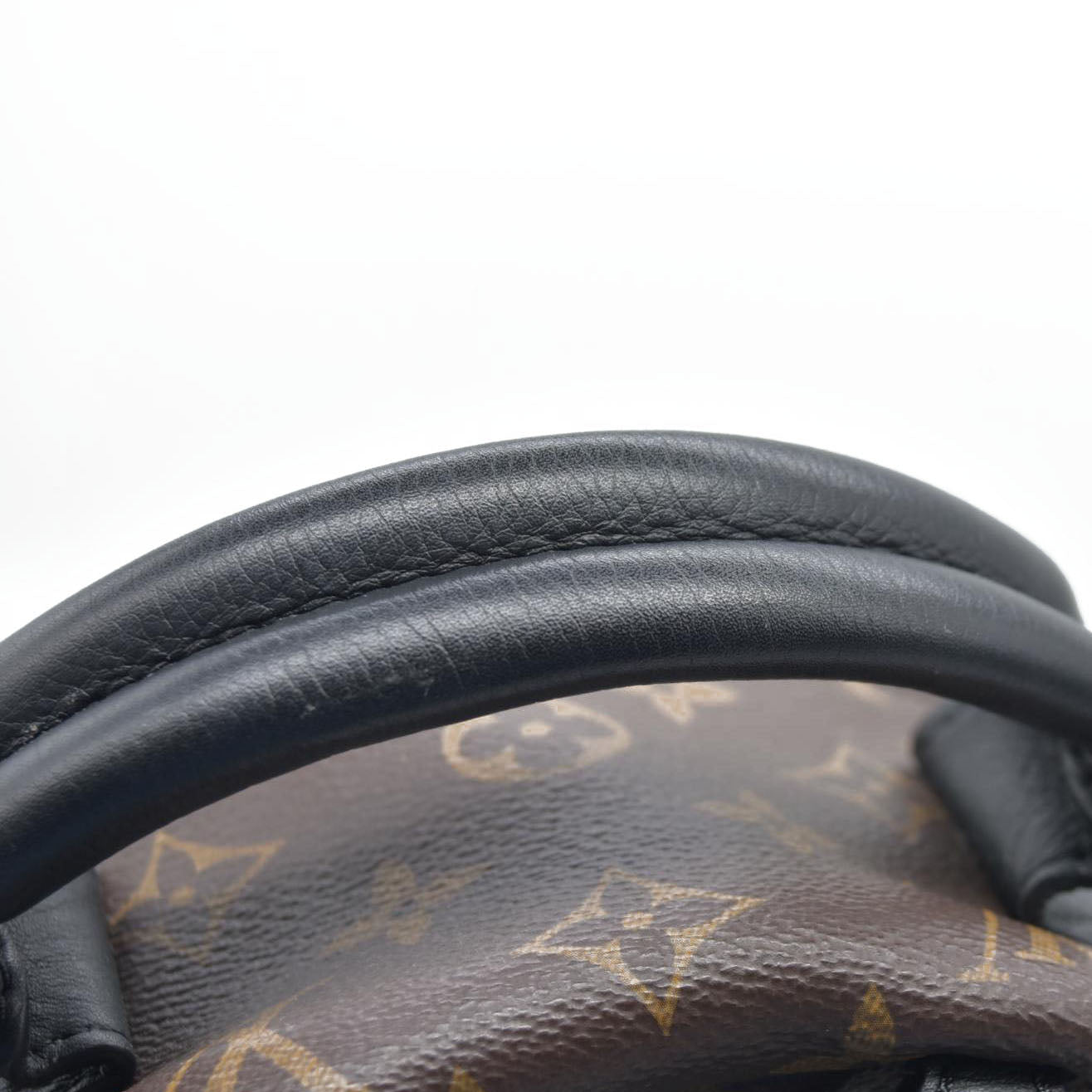 $2980 Louis Vuitton LV Monogram Palm Springs MM