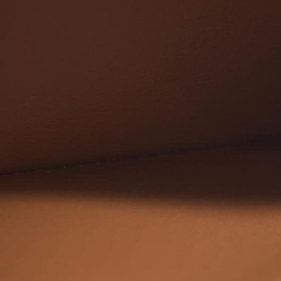 AUCTION $1000 Louis Vuitton Epi Leather Zippy Zip Around Long Wallet Purse Brown CA0066