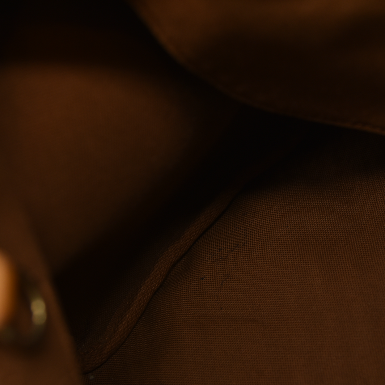 Louis Vuitton  Monogram Speedy 25