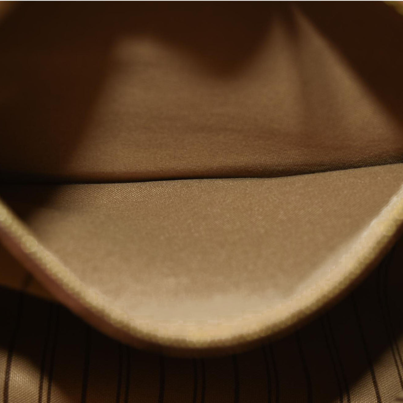 LOUIS VUITTON  Monogram Delightful MM New Model