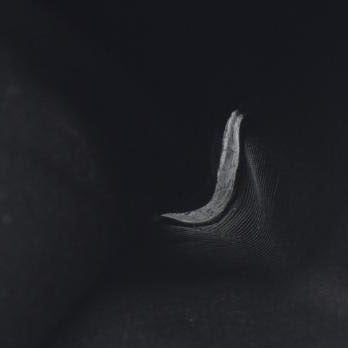 AUCTION $590 BVLGARI Logo Mania Canvas Leather Bifold Wallet Black