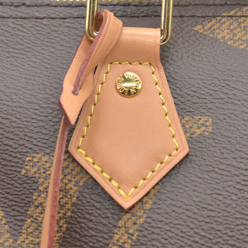 Louis Vuitton Reverse Speedy 30