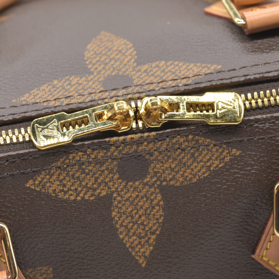 Louis Vuitton Reverse Speedy 30