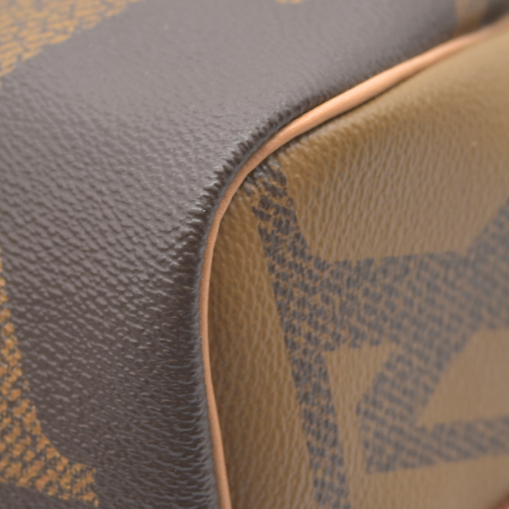 Louis Vuitton Reverse Speedy 30