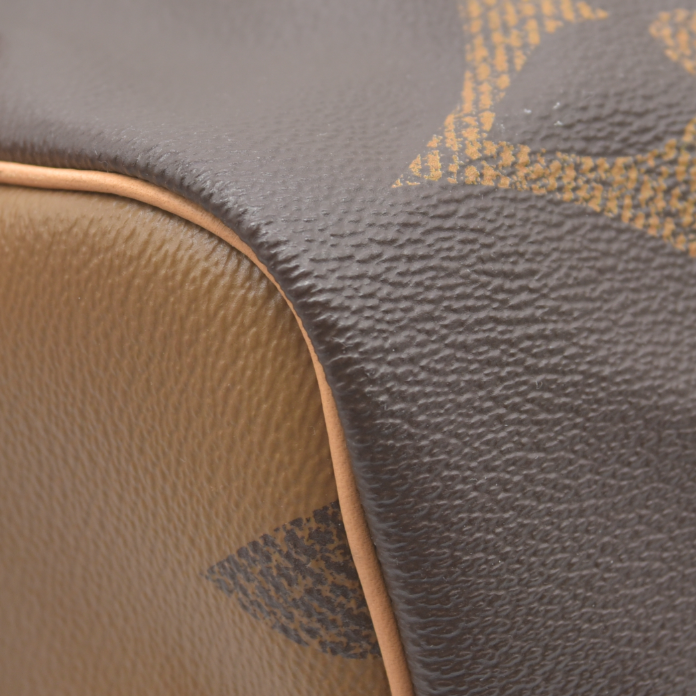 Louis Vuitton Reverse Speedy 30