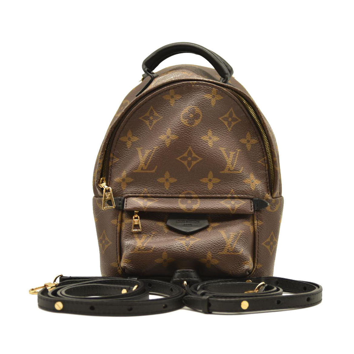 Louis Vuitton  Monogram Palm Springs Backpack Mini CA1137