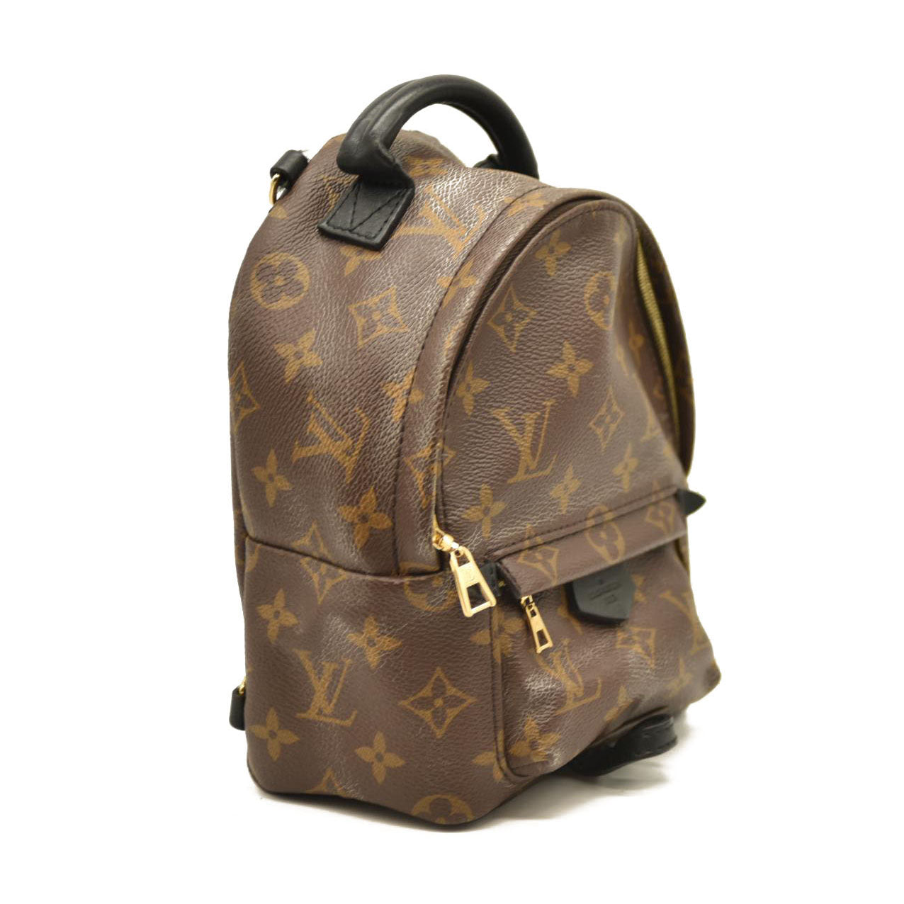 Louis Vuitton  Monogram Palm Springs Backpack Mini CA1137