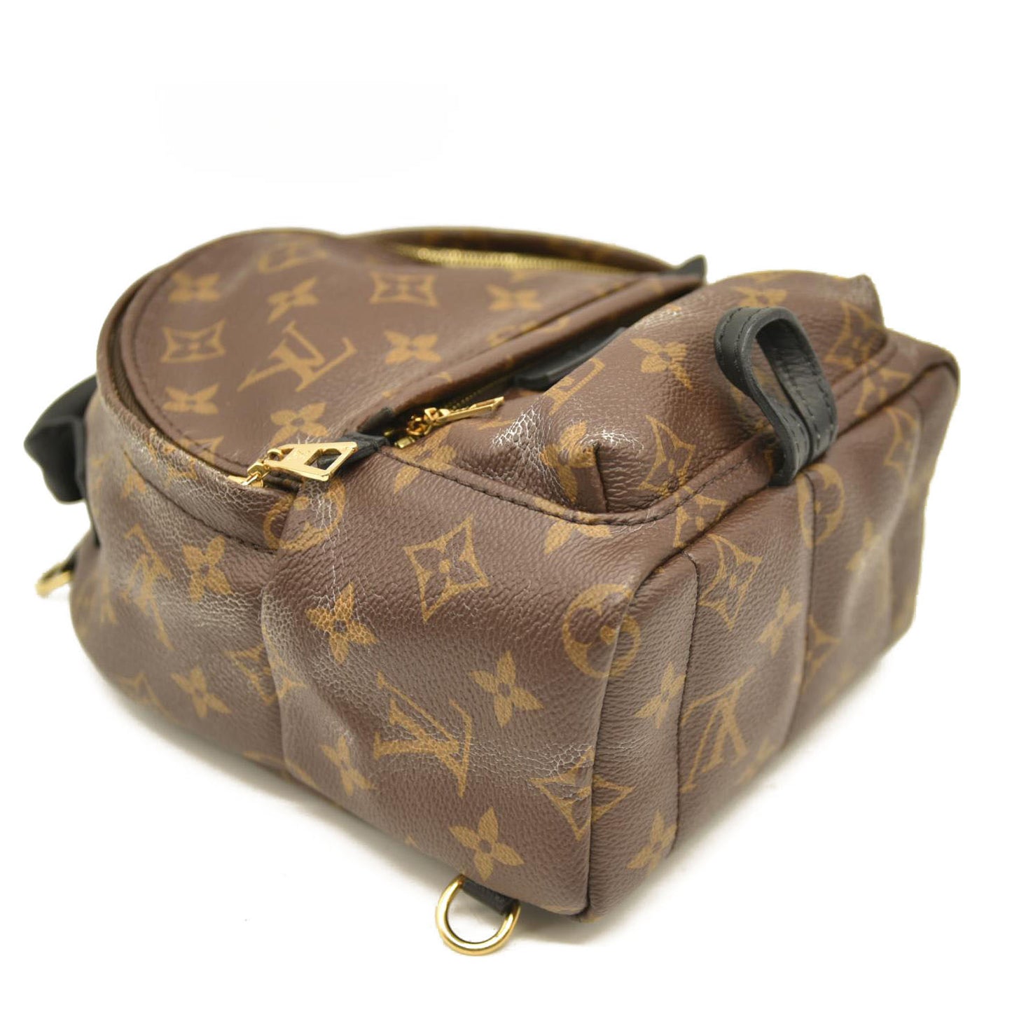 Louis Vuitton  Monogram Palm Springs Backpack Mini CA1137