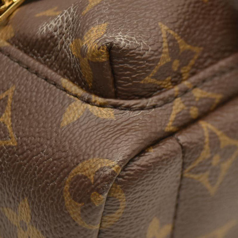 Louis Vuitton  Monogram Palm Springs Backpack Mini CA1137