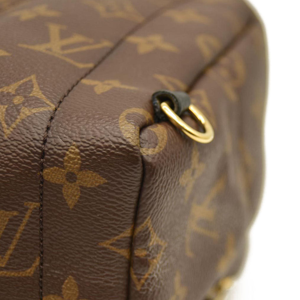Louis Vuitton  Monogram Palm Springs Backpack Mini CA1137