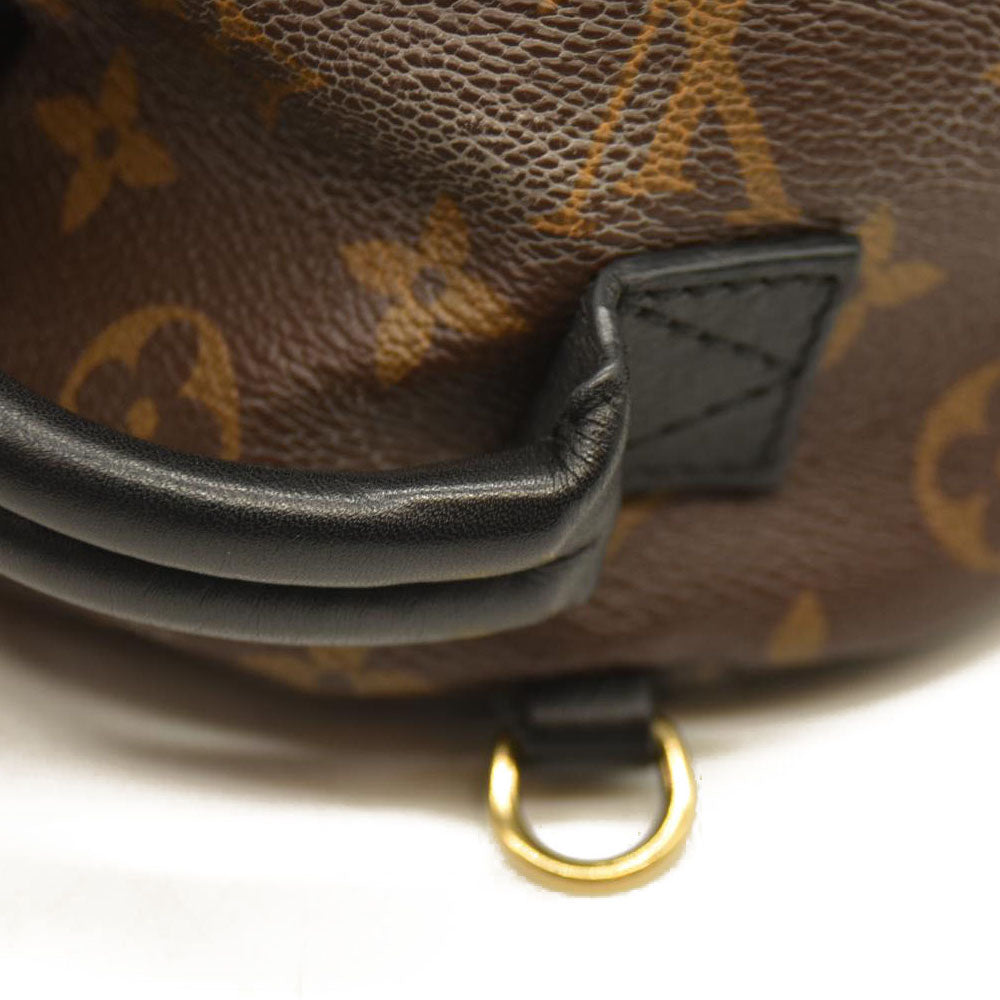 Louis Vuitton  Monogram Palm Springs Backpack Mini CA1137