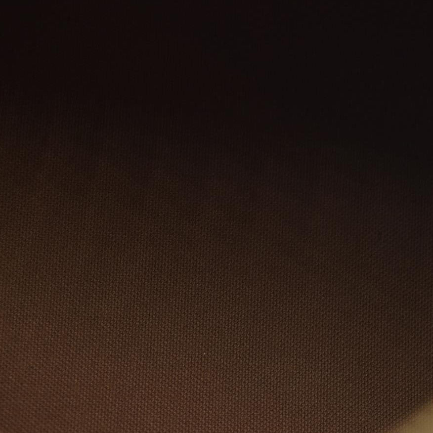 Louis Vuitton Speedy 30 TH1923