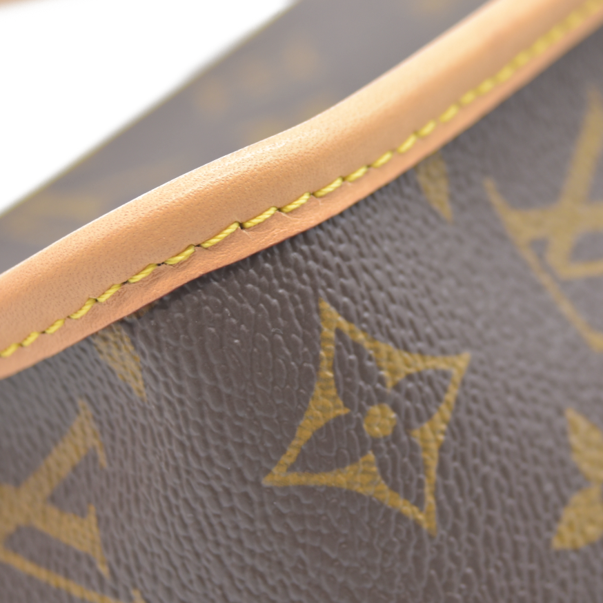 Louis Vuitton  Monogram Nano Diane