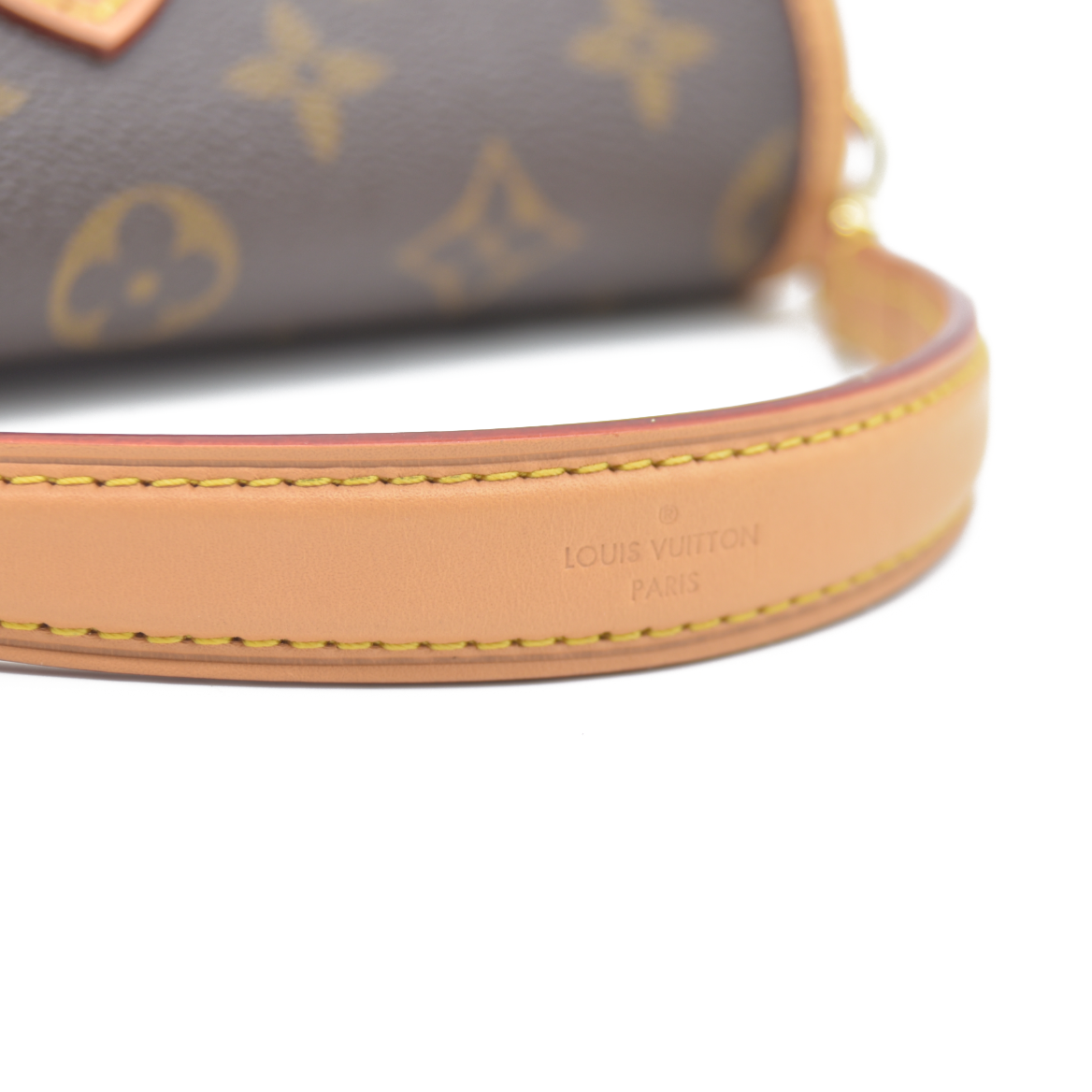 Louis Vuitton  Monogram Nano Diane