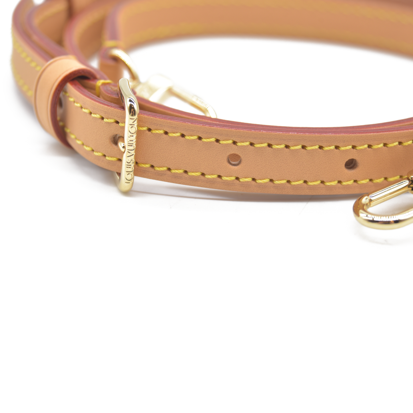 Louis Vuitton  Monogram Nano Diane