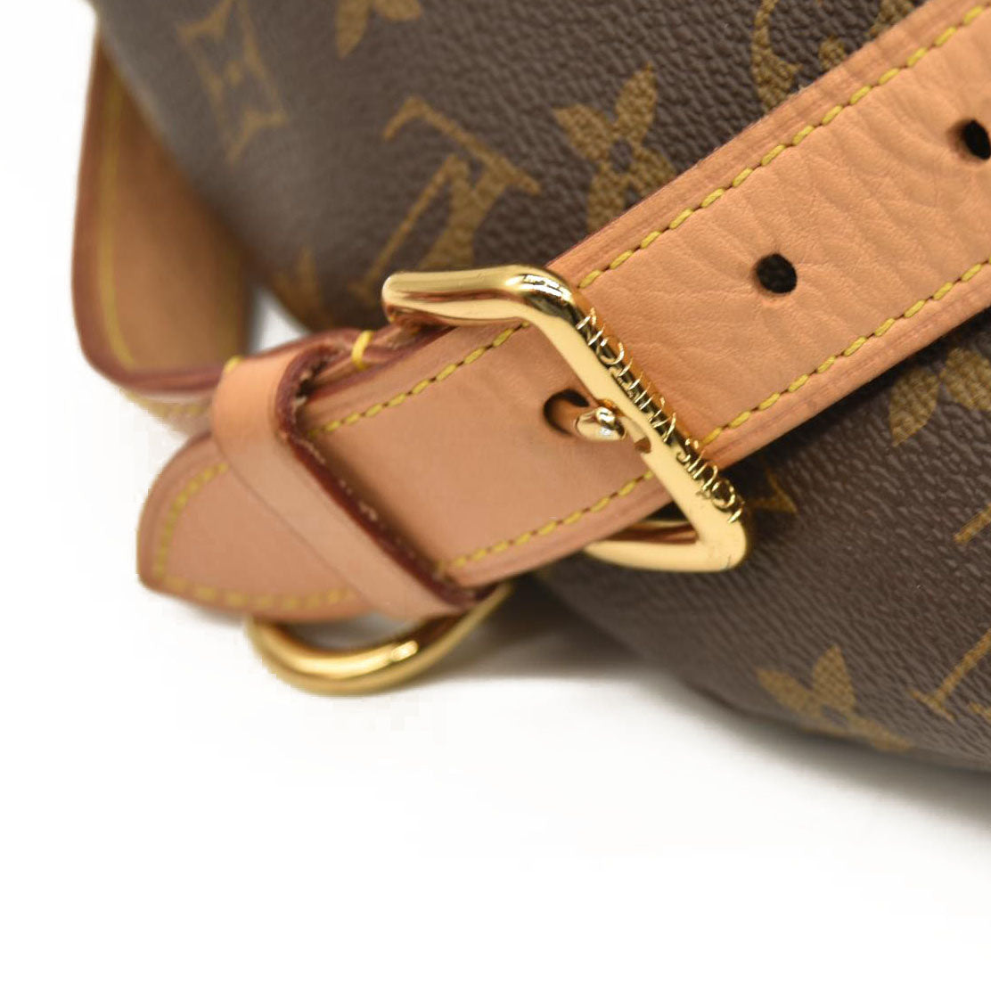 LOUIS VUITTON Monogram Bumbag CA0290