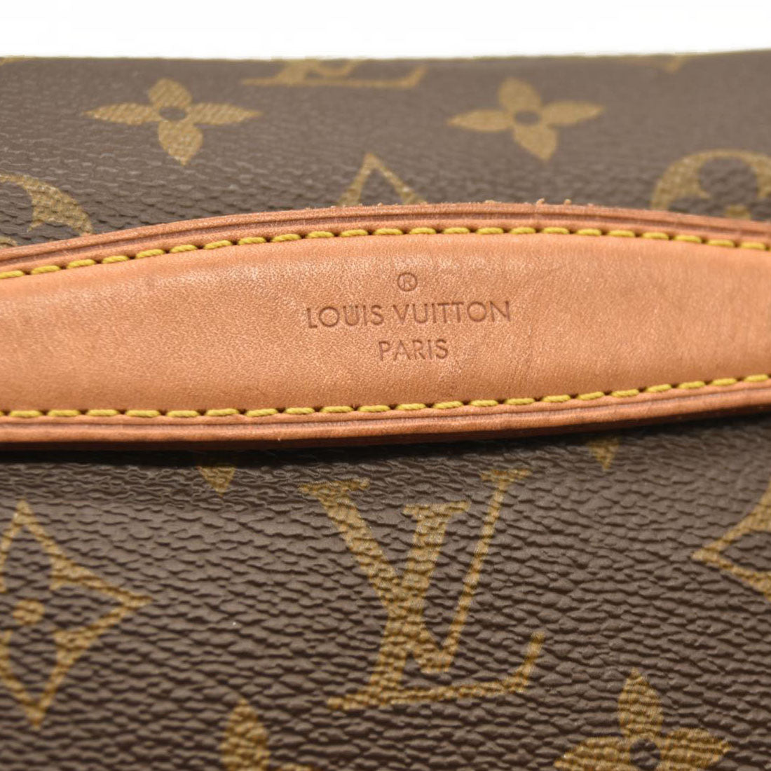 LOUIS VUITTON Monogram Bumbag CA0290