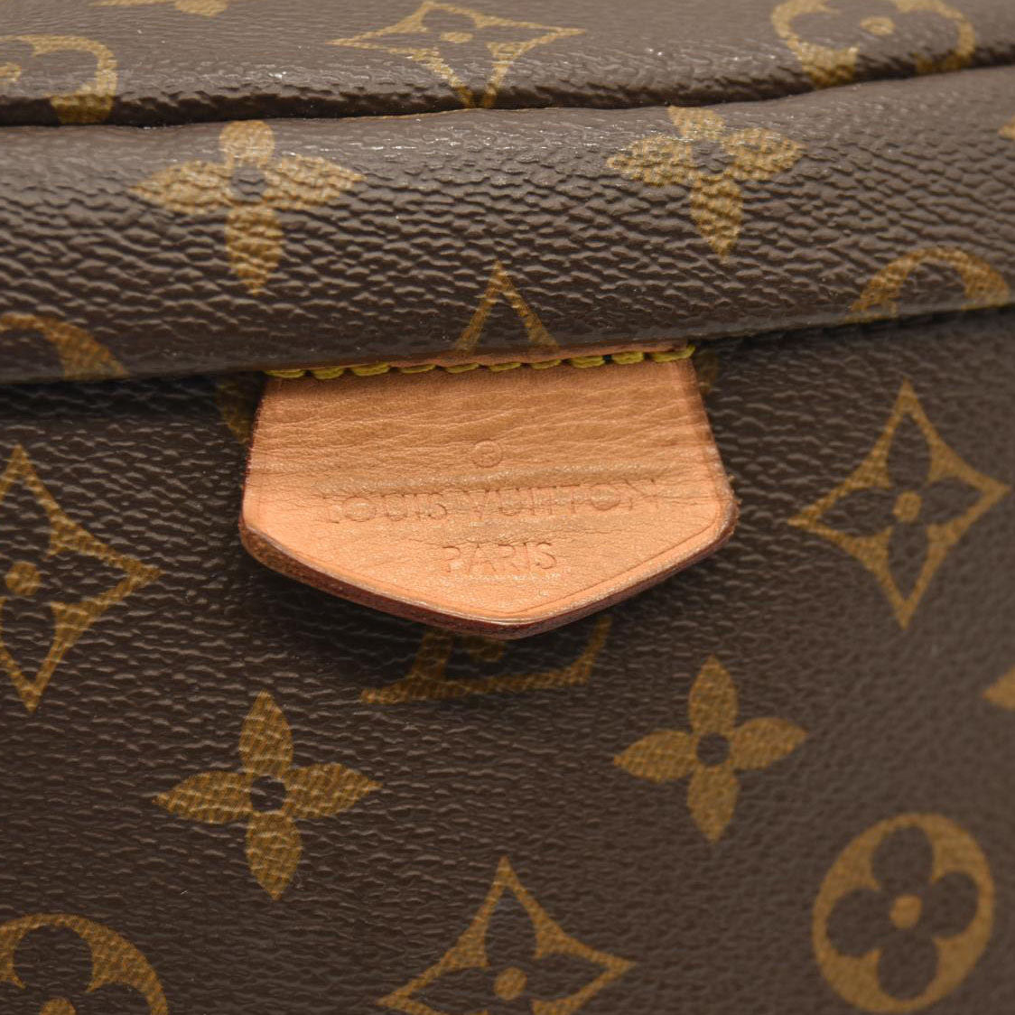 LOUIS VUITTON Monogram Bumbag CA0290