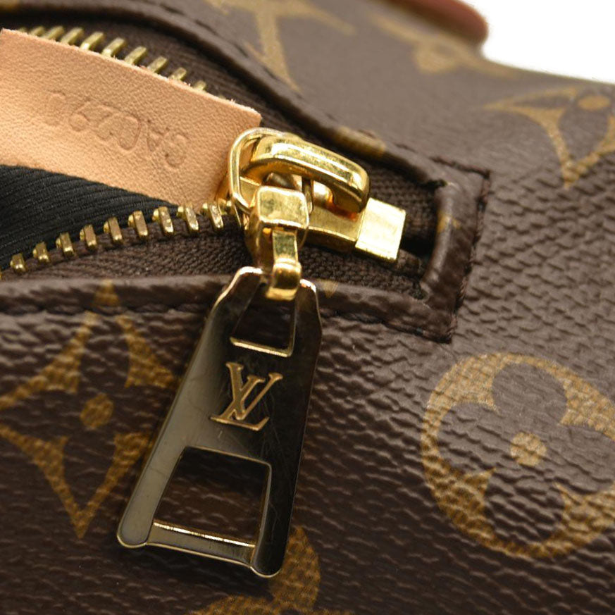 LOUIS VUITTON Monogram Bumbag CA0290