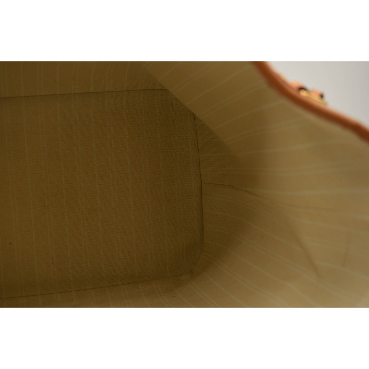 USED Louis Vuitton Monogram Giant By The Pool Neverfull MM Blue