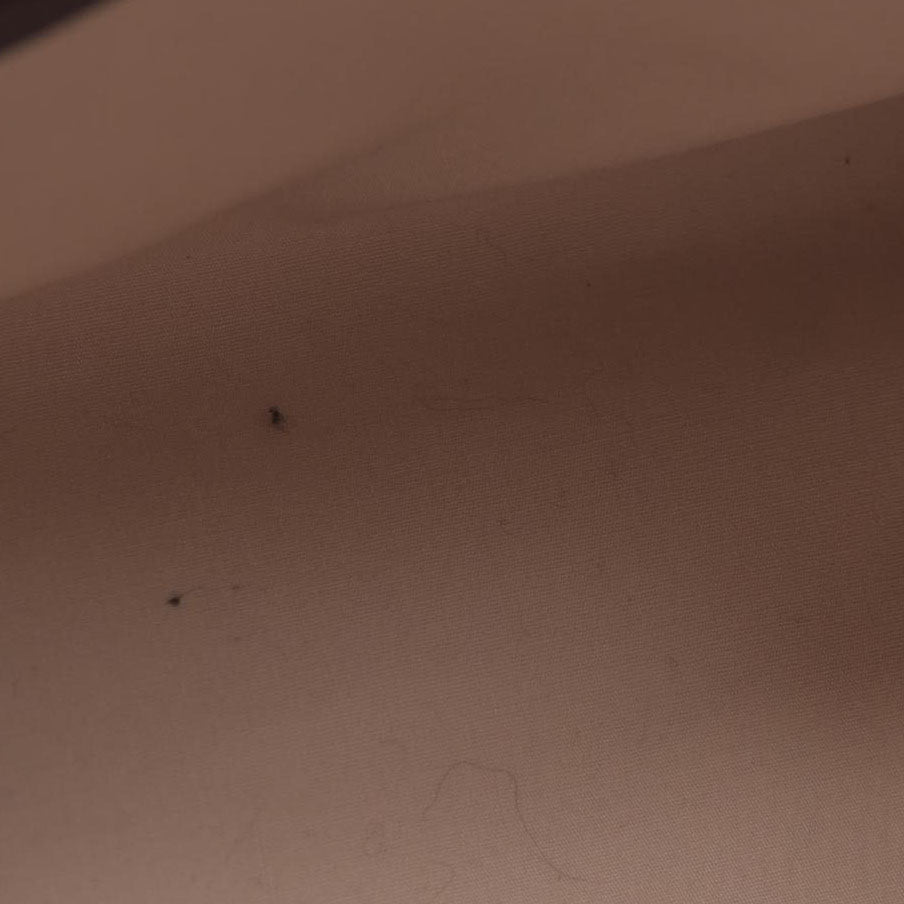 $1100 CONSIGNMENT LOUIS VUITTON Monogram Mini Lin Josephine Boston Bag