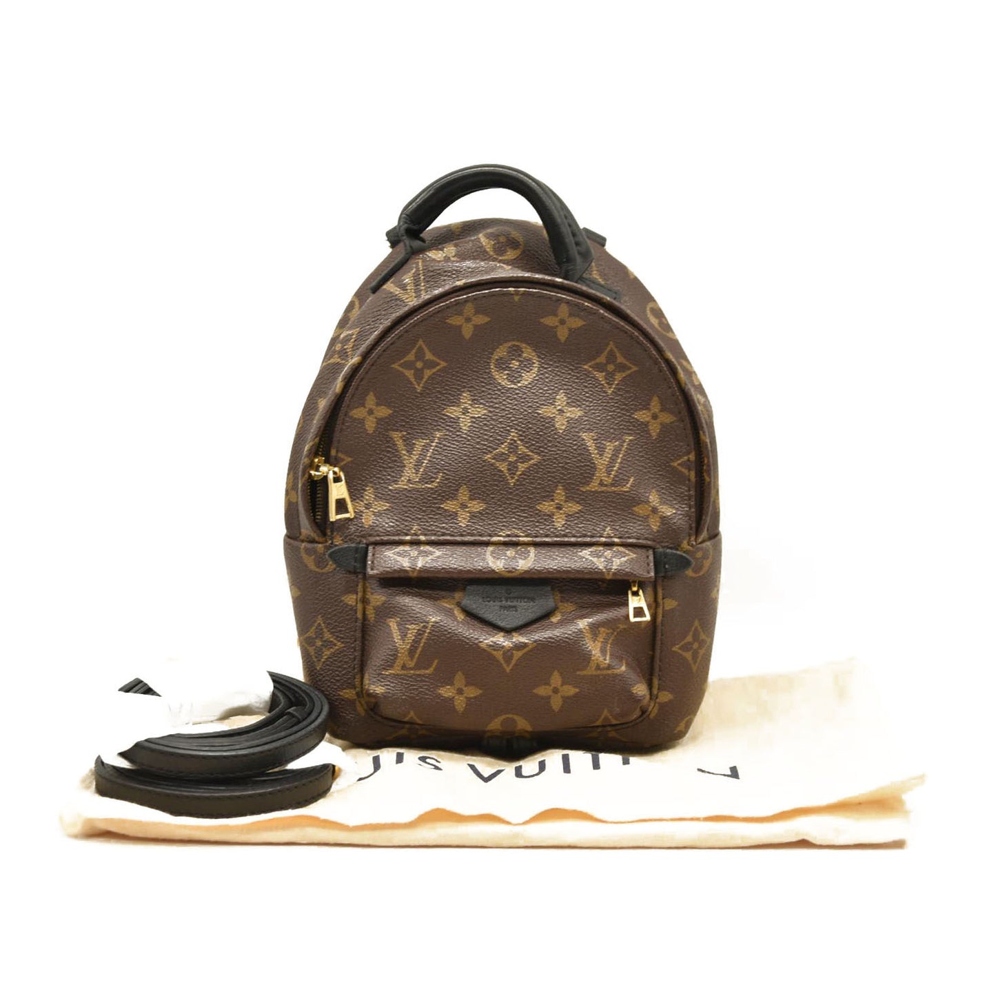 LOUIS VUITTON  Monogram Palm Springs Backpack Mini CA1118