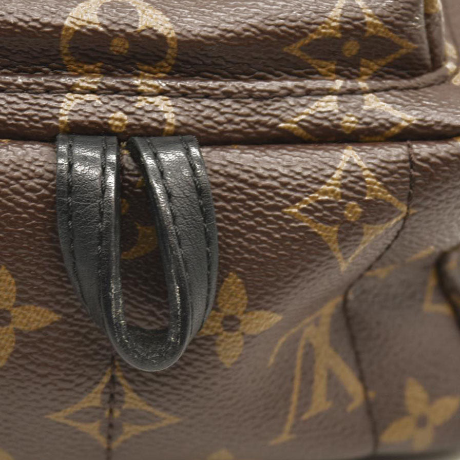 LOUIS VUITTON  Monogram Palm Springs Backpack Mini CA1118