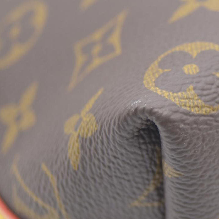 Louis Vuitton LV Monogram Carryall BB