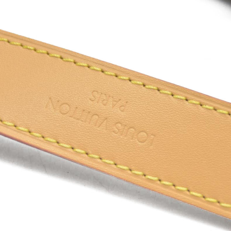 Louis Vuitton LV Monogram Carryall BB