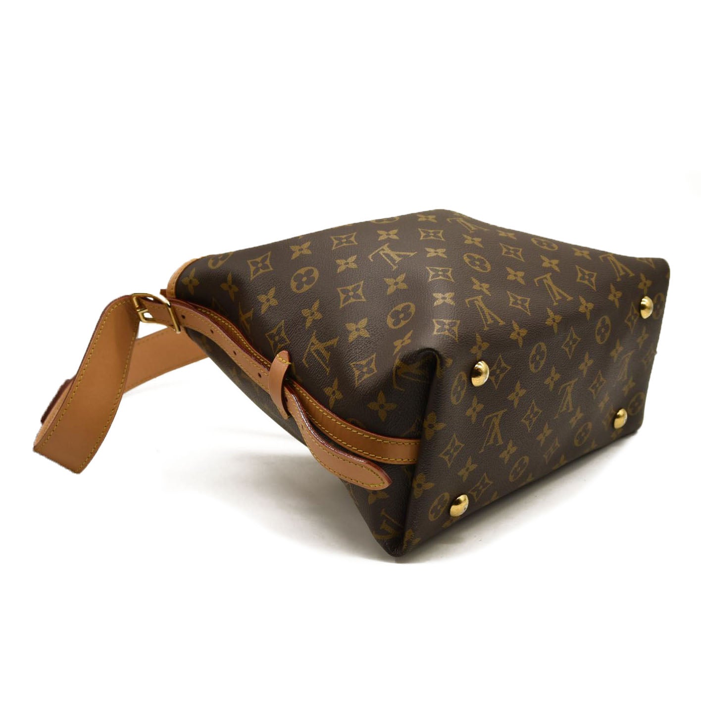 Louis Vuitton  Monogram CarryAll PM