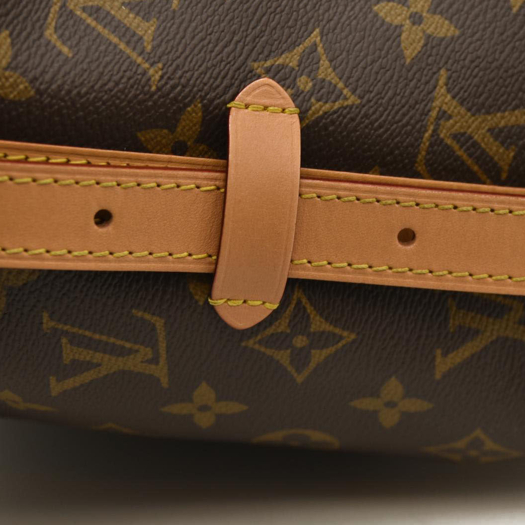 Louis Vuitton  Monogram CarryAll PM