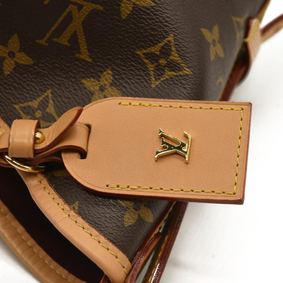 Louis Vuitton  Monogram CarryAll PM