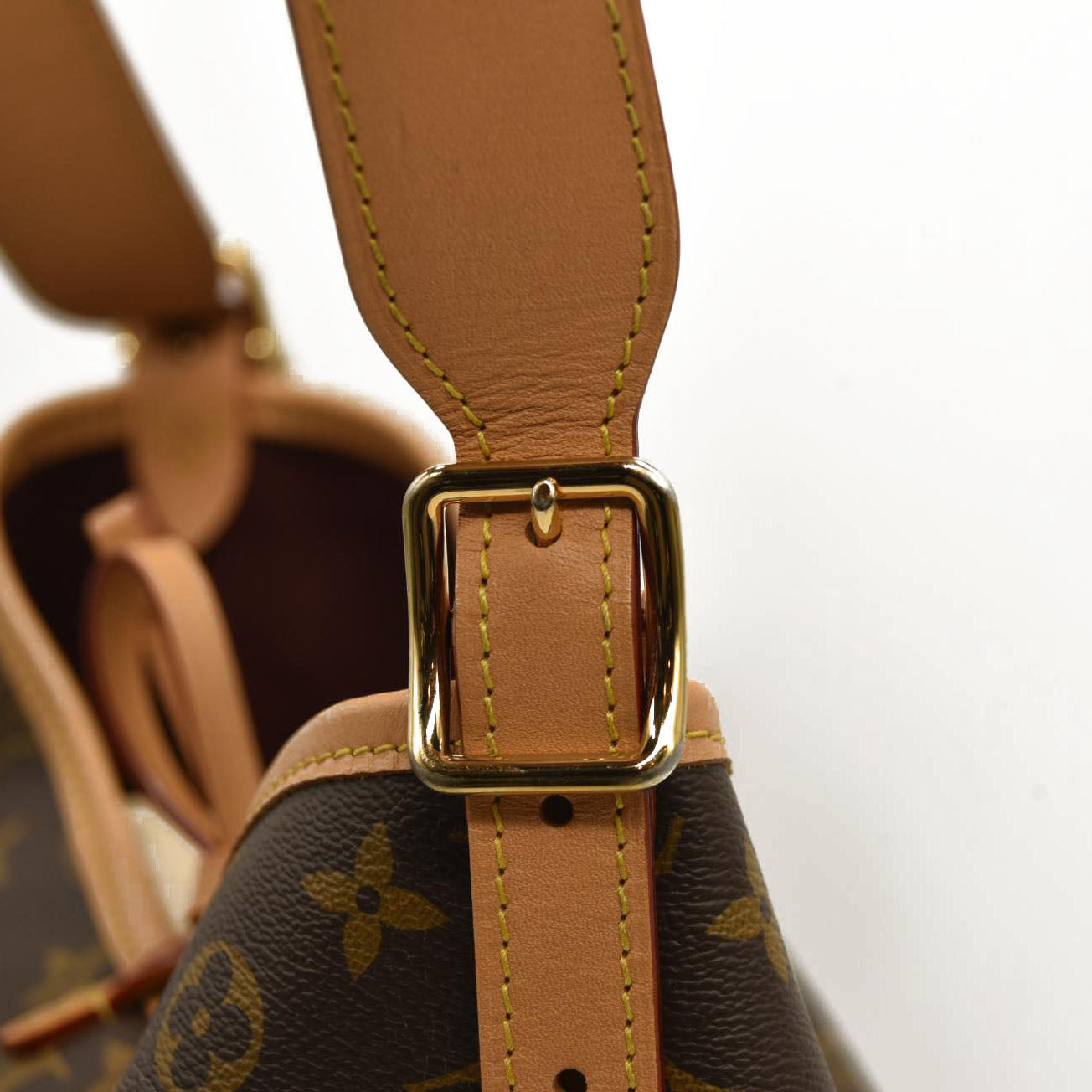 Louis Vuitton  Monogram CarryAll PM