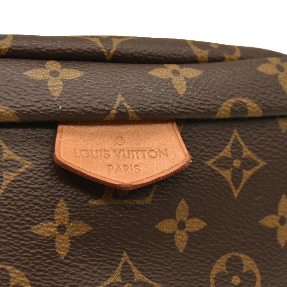 LOUIS VUTTION Monogram Bumbag MI4129