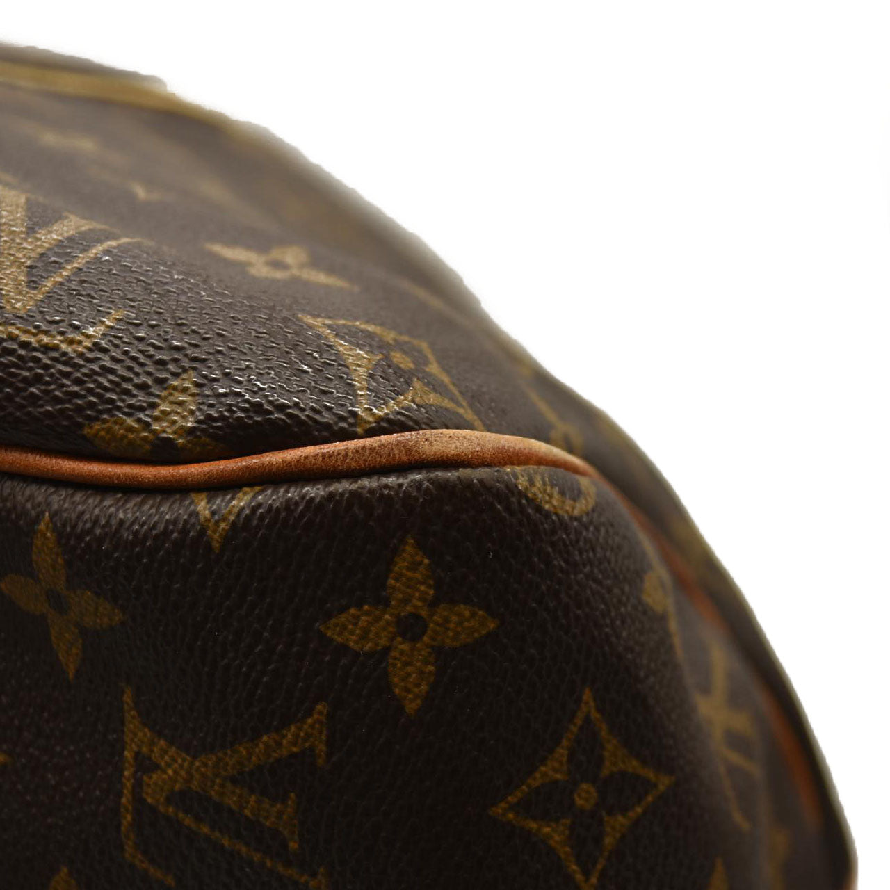 Louis Vuitton  Monogram Delightful GM