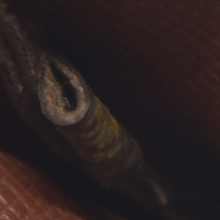 AUCTION $345 Louis Vuitton Monogram Pochette Cles Wallet Coin Purse Brown CA0050