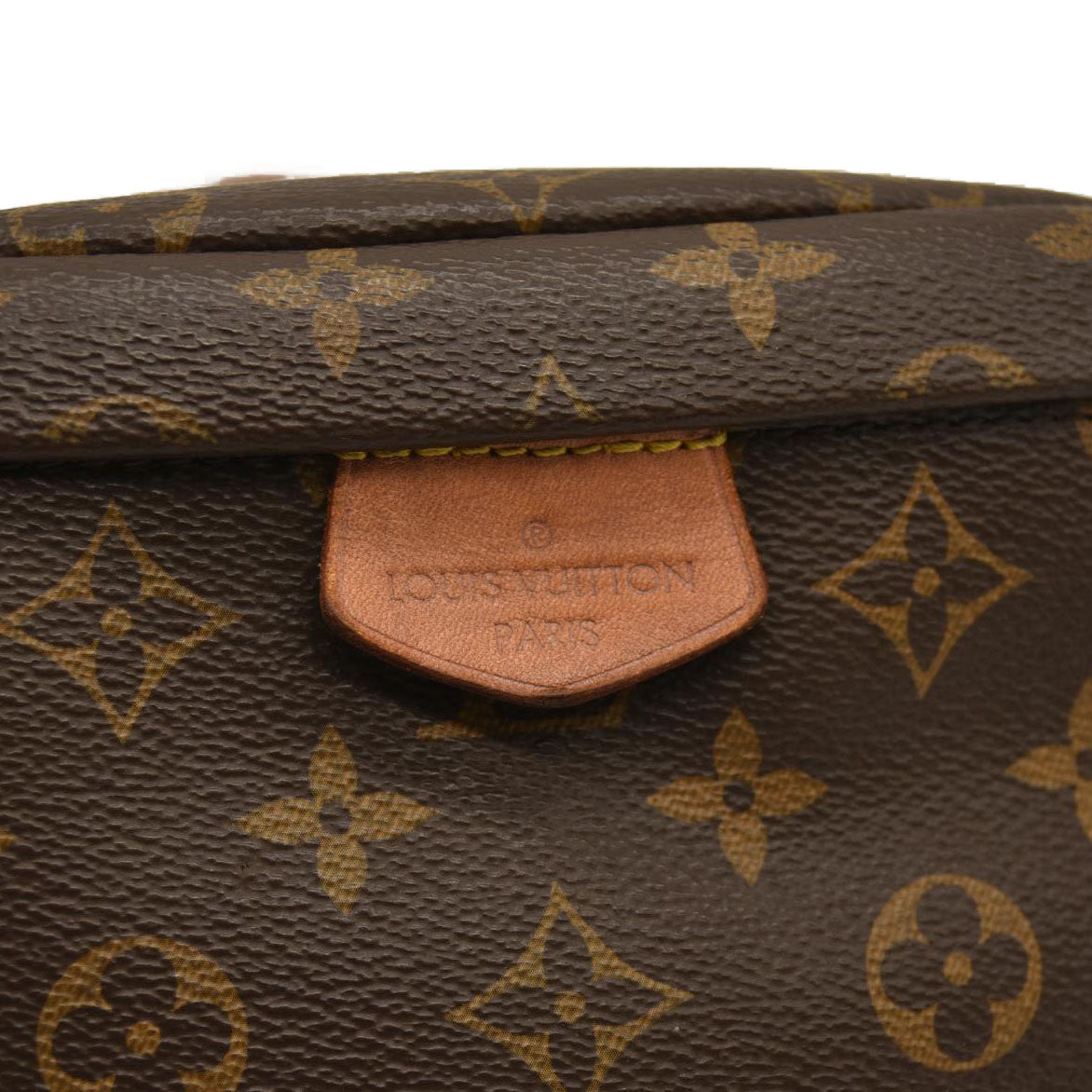 LOUIS VUITTON  Monogram Bumbag MI4159