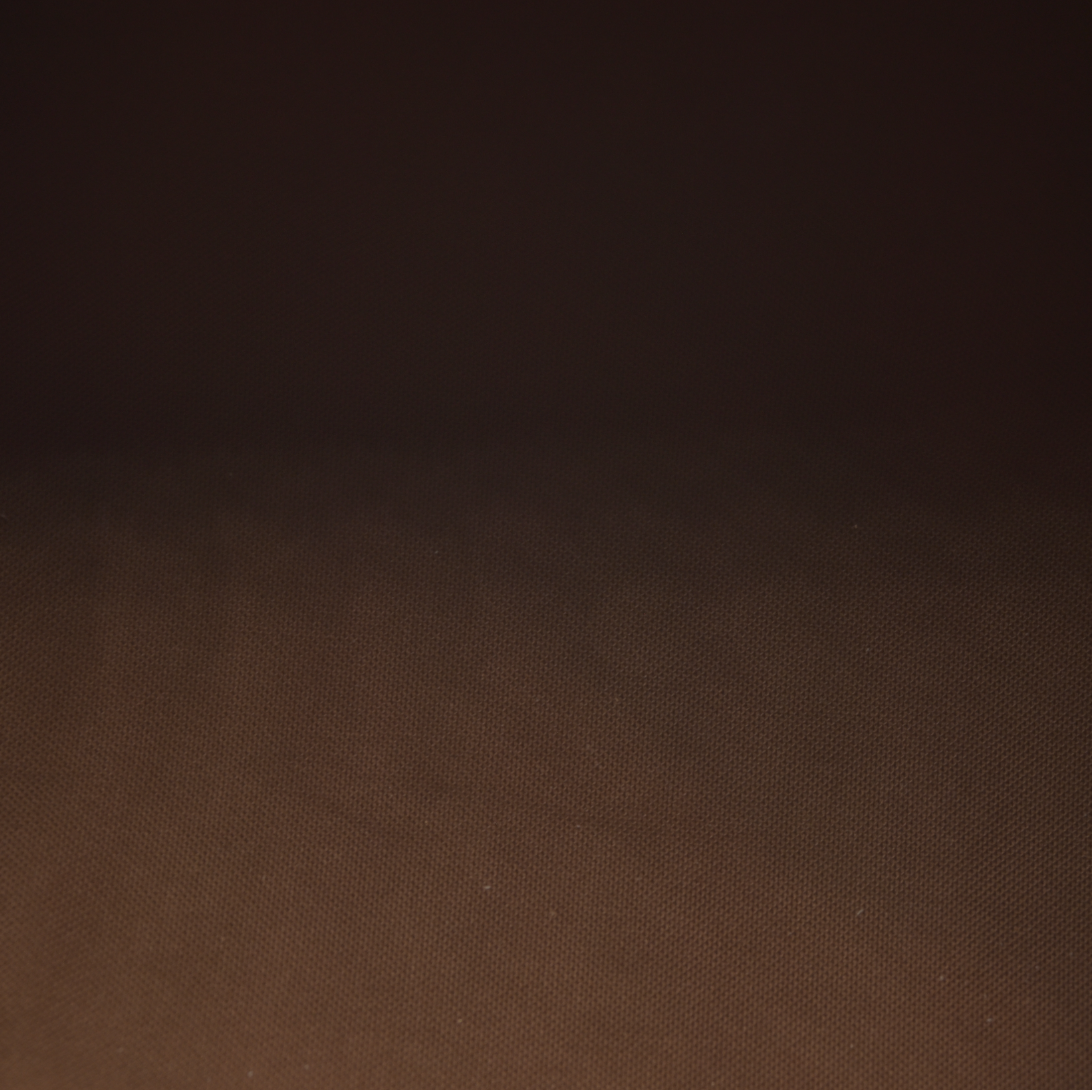 Louis Vuitton  Monogram Speedy 30 AUCTION $1550 CONSIGNMENT