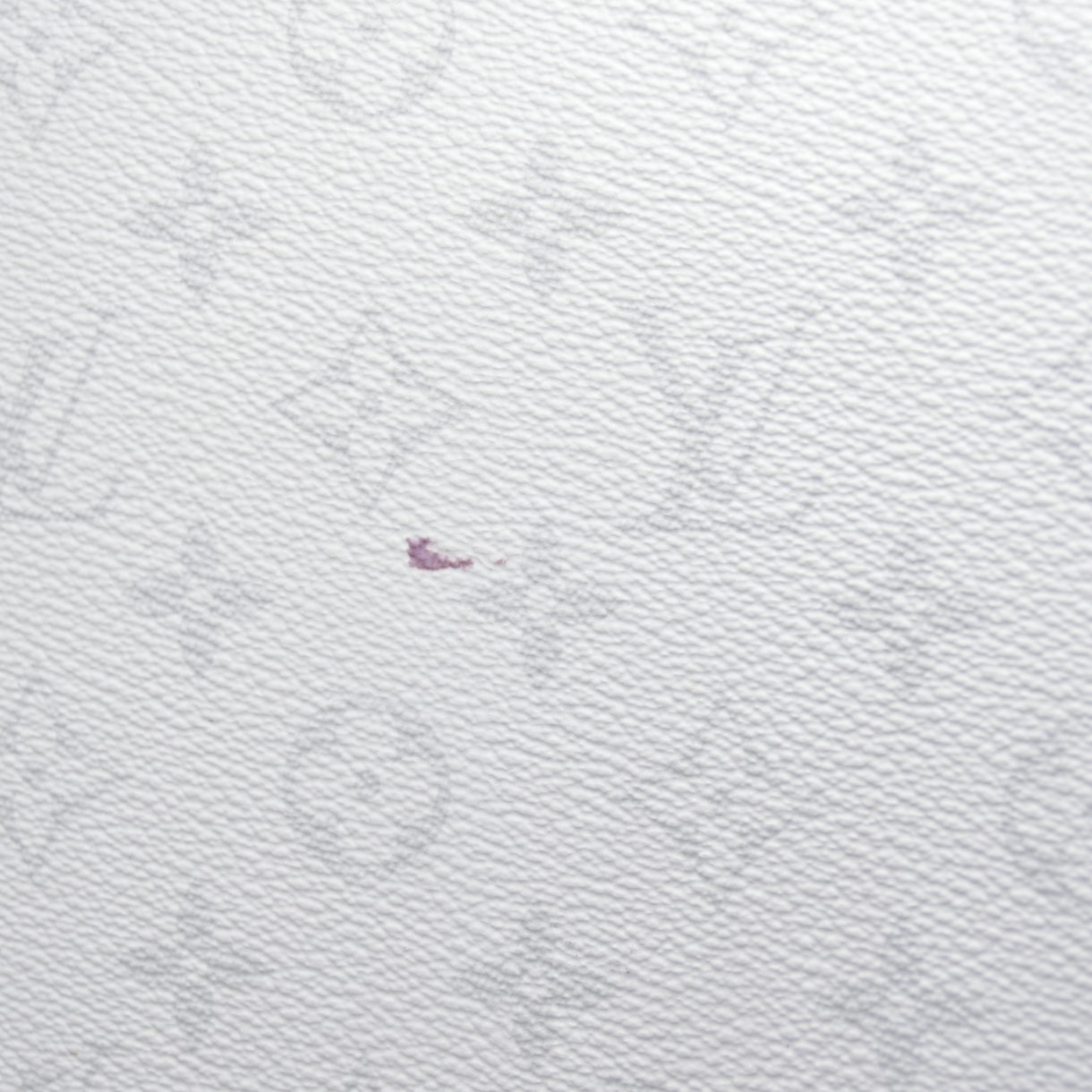 $4050 Louis Vuitton Taigarama Horizon 55 Optic White
