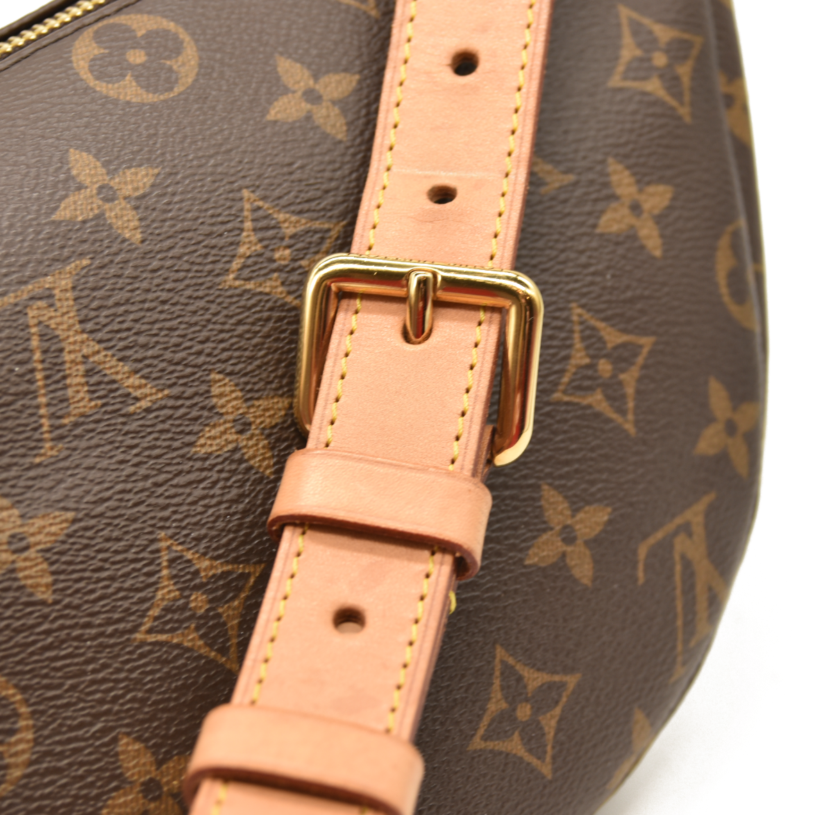 LOUIS VUITTON Monogram Bumbag MI4290