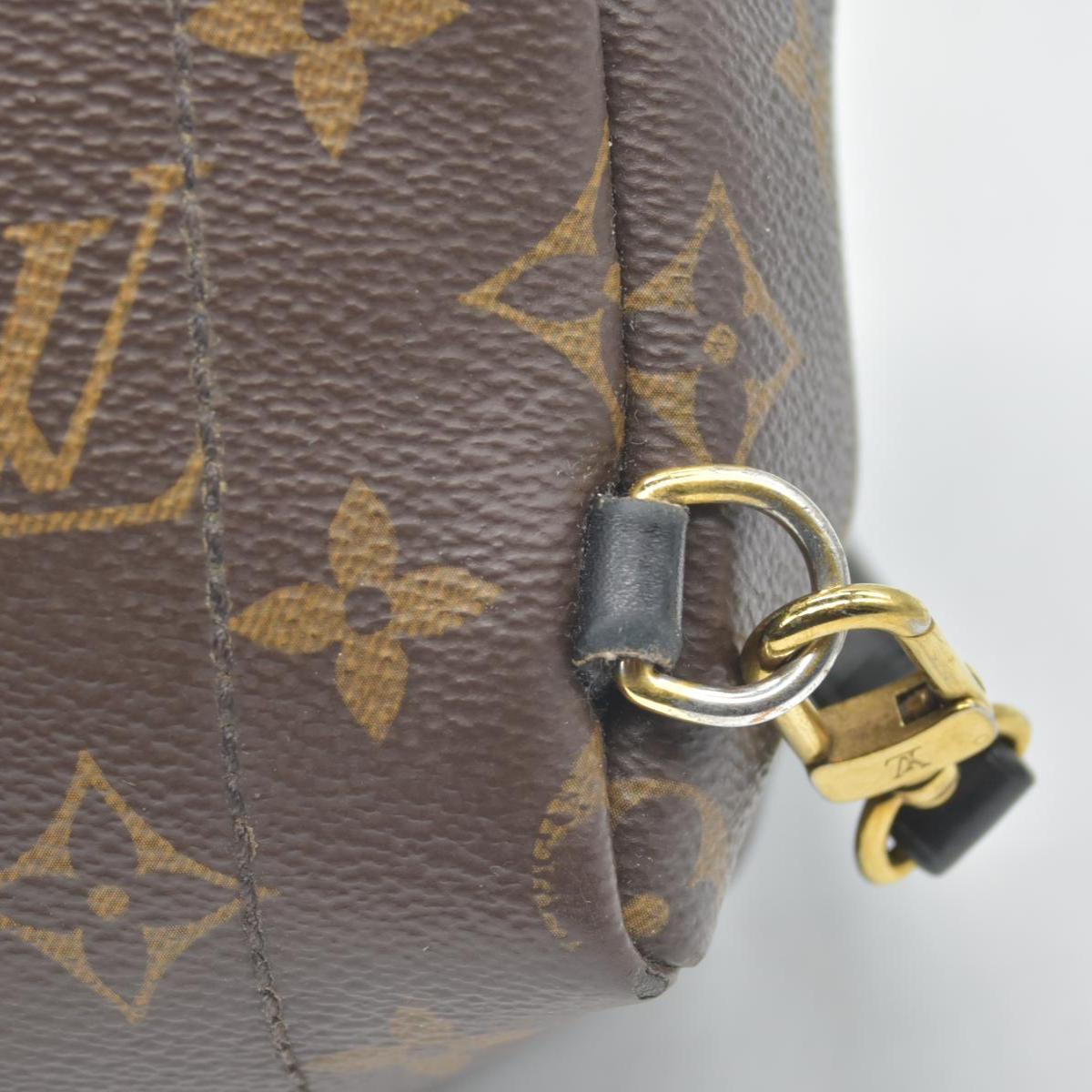 $2690 Louis Vuitton Monogram Palm Springs Backpack Mini