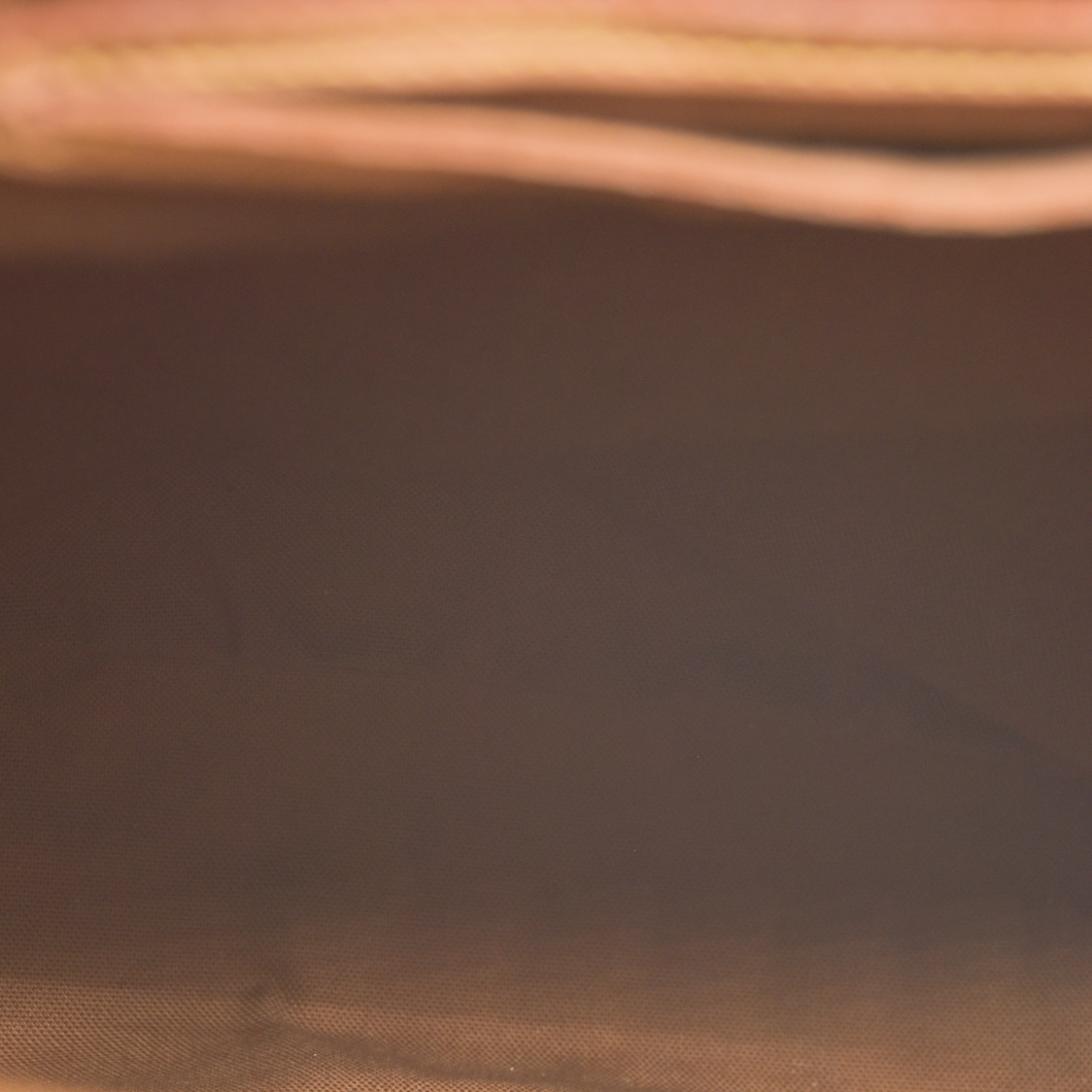 CONSIGNMENT AUCTION $2710 Louis Vuitton Arlequin Soho Damier Ebene Canvas Backpack