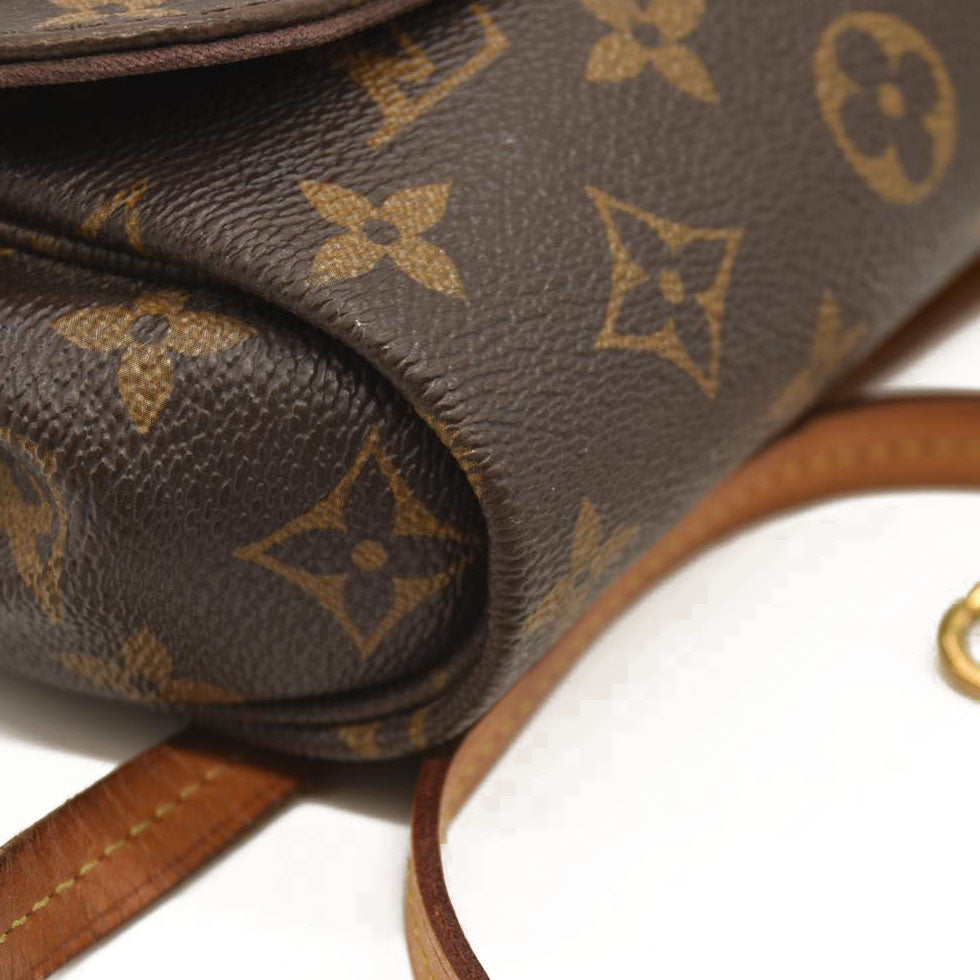 Louis Vuitton  Monogram Favorite MM