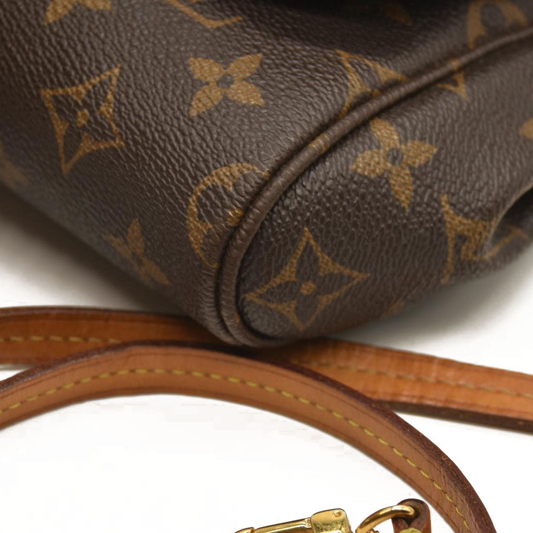 Louis Vuitton  Monogram Favorite MM