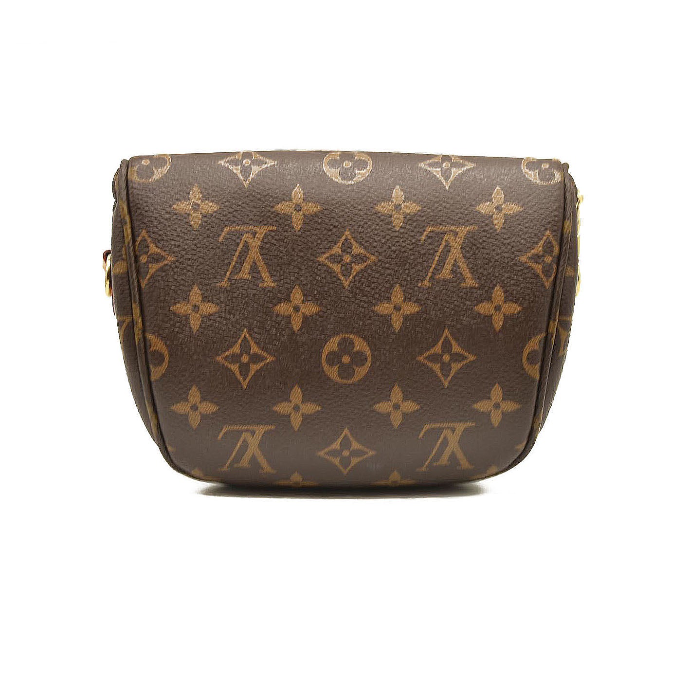 Louis Vuitton  Monogram Mini Bumbag