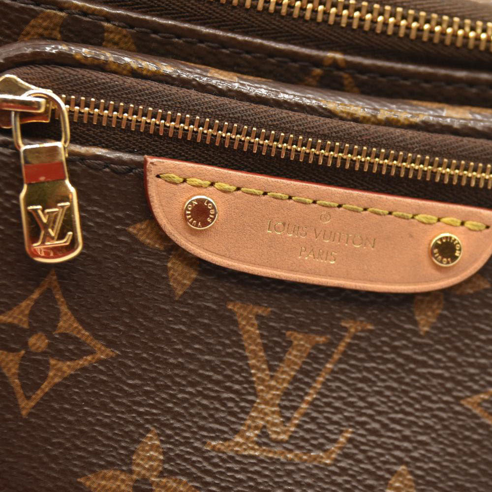 Louis Vuitton  Monogram Mini Bumbag