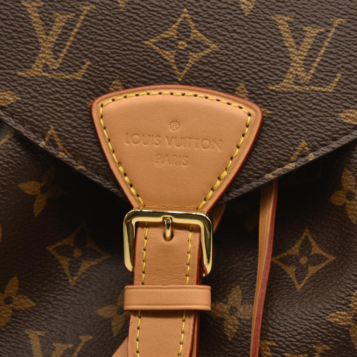 Louis Vuitton  Monogram Montsouris NM Backpack