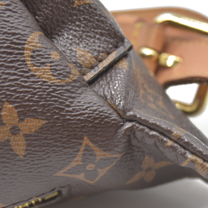 $1960 Louis Vuitton LV Monogram Bumbag TJ4200 2020