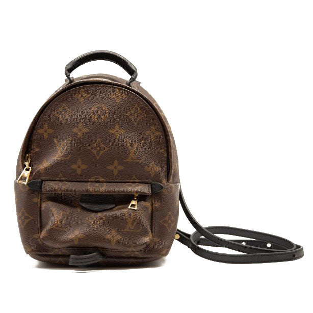 Louis Vuitton Monogram Palm Springs Backpack Mini